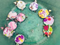 市民在街头偶遇“彩龟”   外形独特具有艺术范