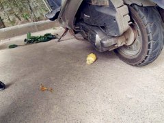 天降玉米棒差点砸中路人   网友：戴安全帽出门有保障