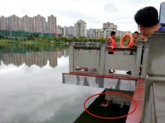 女子不慎掉进水里  众人合力将其救上岸