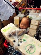 熊家长把娃“埋进”购物车 萌娃美滋滋地睡着了