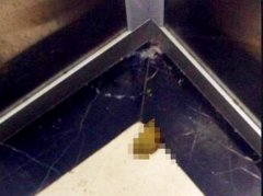 网友搭电梯回家惊魂：地面数字键上全是排泄物
