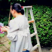 女子竟当着小孩的面    站在人字梯上摘树上的果子
