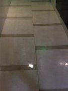 隔壁租户养的狗天天在过道上撒尿 邻居很崩溃