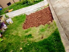 小区草坪变成私人菜地？ 业主感叹“太荒唐”