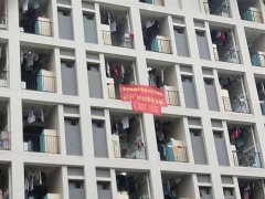 单身小伙要脱单 寝室集体拉横幅