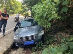 男子疲劳驾驶 撞树后人车坠沟