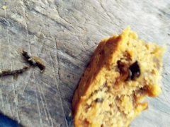 月饼里吃出异物  网友很崩溃