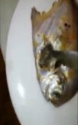 食客自助餐厅吃到腐烂鲳鱼 商家：鱼是好的