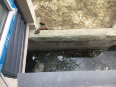 卧室外有个臭水坑且有蚊虫聚居 业主苦不堪言